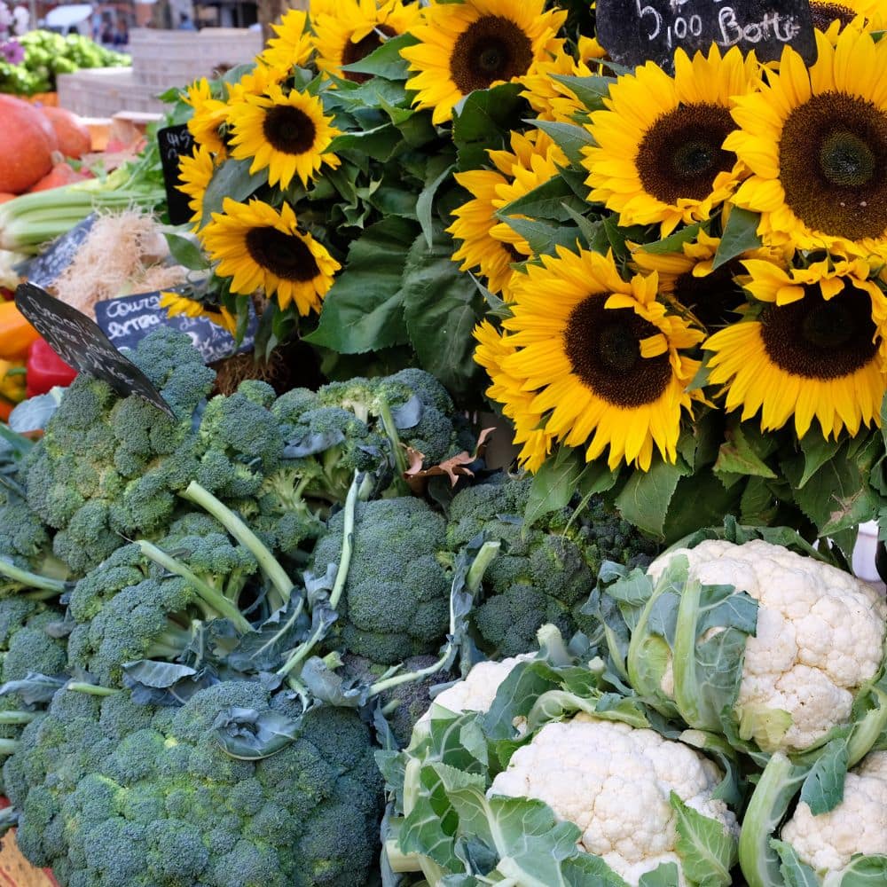 Farmer's market