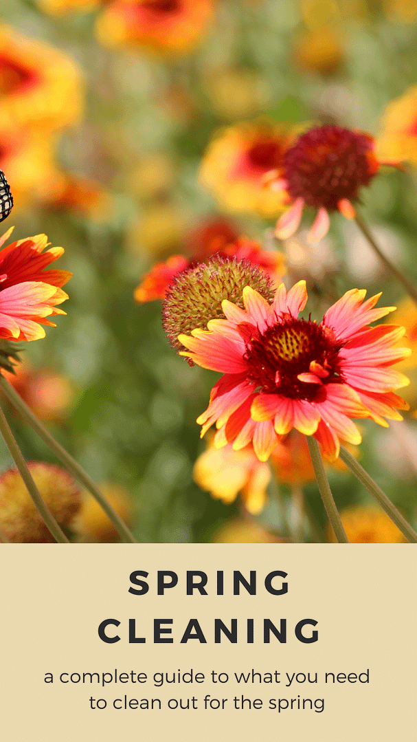 Spring Cleaning Check List a close up of flowers